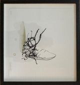 Maria Rubinke Litografi Insekt 1, 31x29cm